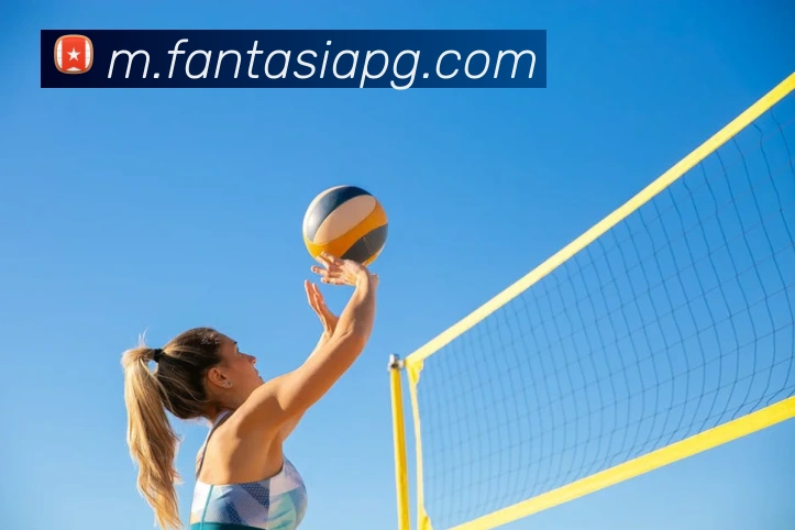 pg官网发展历程